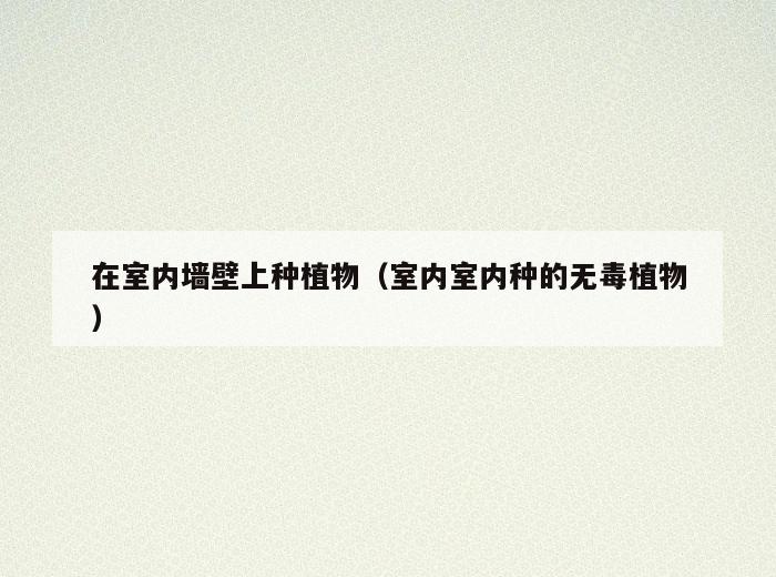 在室内墙壁上种植物(室内室内种的无毒植物) 在室内墙壁上种植物(室内室内种的无毒植物)