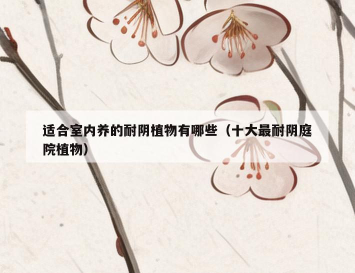 适合室内养的耐*植物有哪些(十大最耐*庭院植物) 适合室内养的耐*植物有哪些(十大最耐*庭院植物)