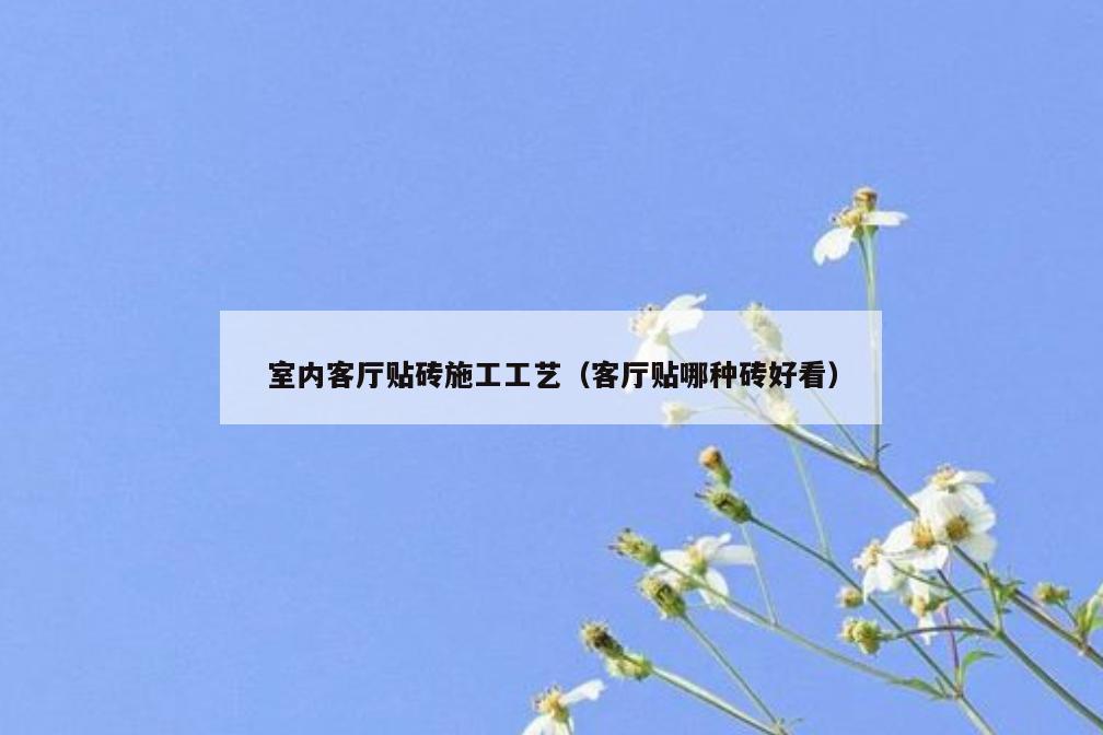 室内客厅贴砖施工工艺(客厅贴哪种砖好看) 室内客厅贴砖施工工艺(客厅贴哪种砖好看)