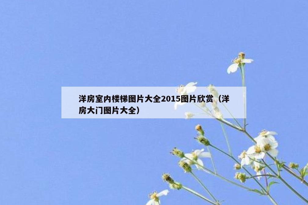 洋房室内楼梯图片大全2015图片欣赏(洋房大门图片大全) 洋房室内楼梯图片大全2015图片欣赏(洋房大门图片大全)
