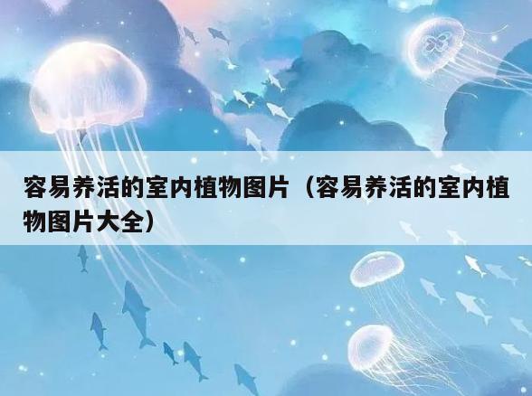 容易养活的室内植物图片（容易养活的室内植物图片大全）
