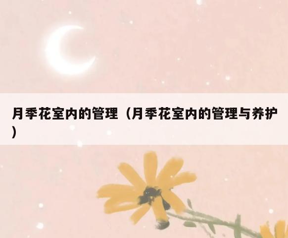 月季花室内的管理(月季花室内的管理与养护) 月季花室内的管理(月季花室内的管理与养护)