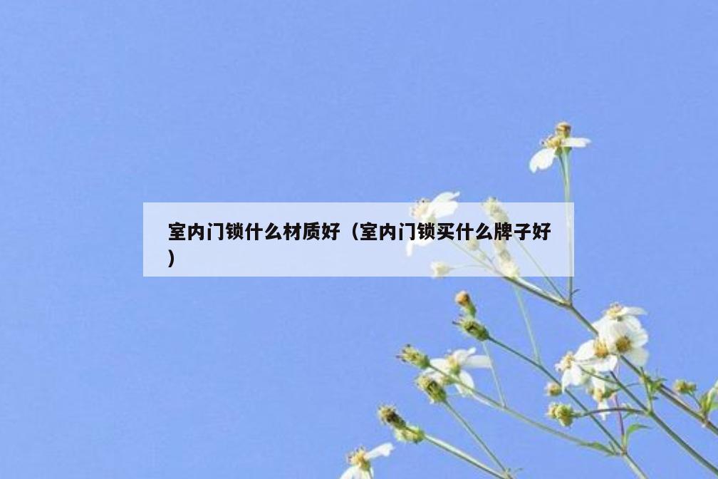 室内门锁什么材质好（室内门锁买什么牌子好）