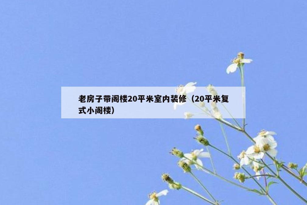 老房子带阁楼20平米室内装修(20平米复式小阁楼) 老房子带阁楼20平米室内装修(20平米复式小阁楼)