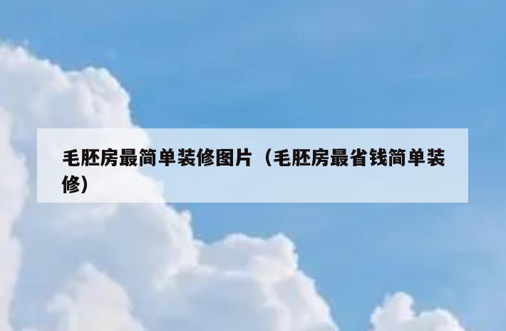 毛胚房最简单装修图片（毛胚房最省钱简单装修）