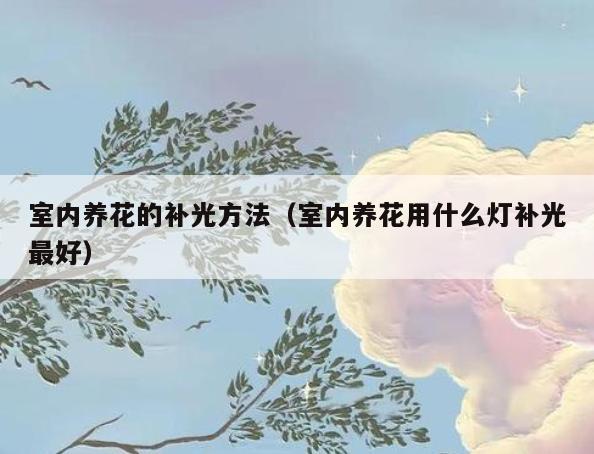 室内养花的补光方法(室内养花用什么灯补光最好) 室内养花的补光方法(室内养花用什么灯补光最好)