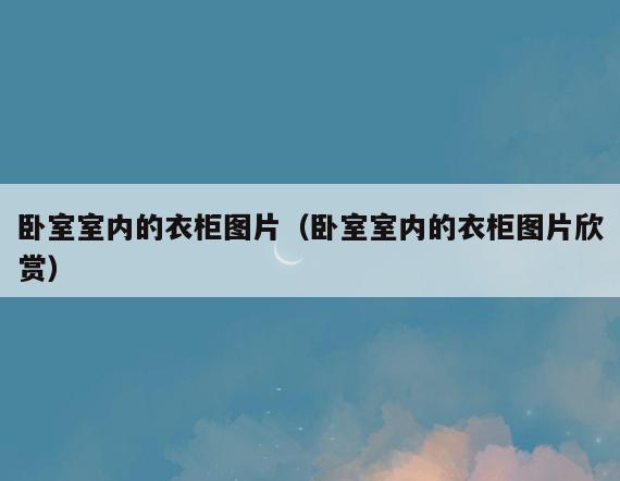 卧室室内的衣柜图片(卧室室内的衣柜图片欣赏) 卧室室内的衣柜图片(卧室室内的衣柜图片欣赏)