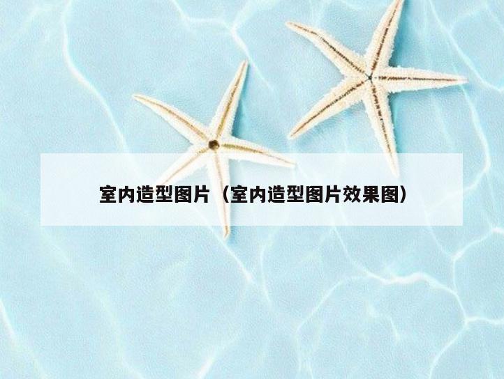 室内造型图片（室内造型图片效果图）