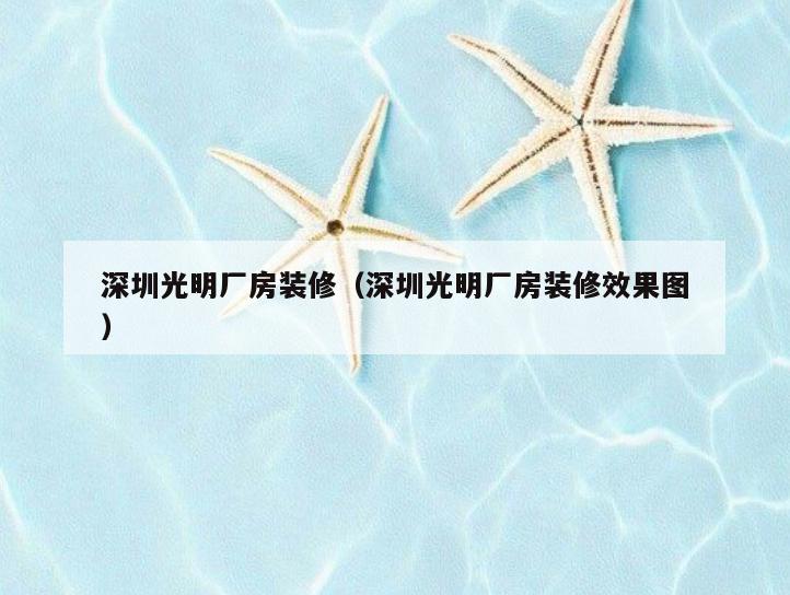 深圳光明厂房装修（深圳光明厂房装修效果图）