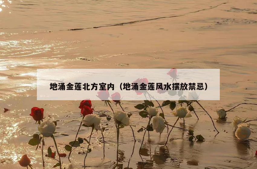 地涌金莲北方室内(地涌金莲风水摆放禁忌) 地涌金莲北方室内(地涌金莲风水摆放禁忌)