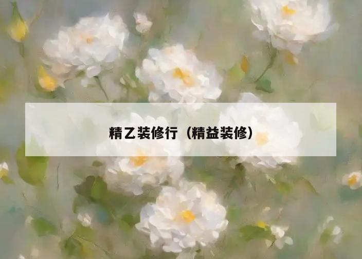 精乙装修行（精益装修）