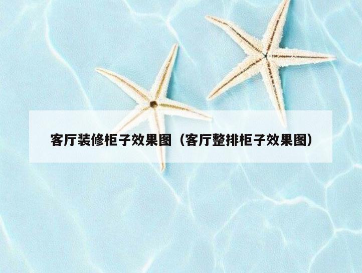 客厅装修柜子效果图（客厅整排柜子效果图）