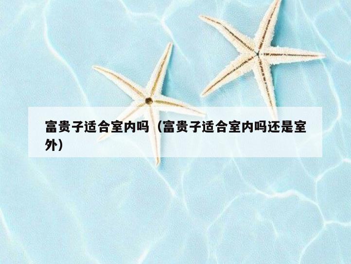 富贵子适合室内吗(富贵子适合室内吗还是室外) 富贵子适合室内吗(富贵子适合室内吗还是室外)